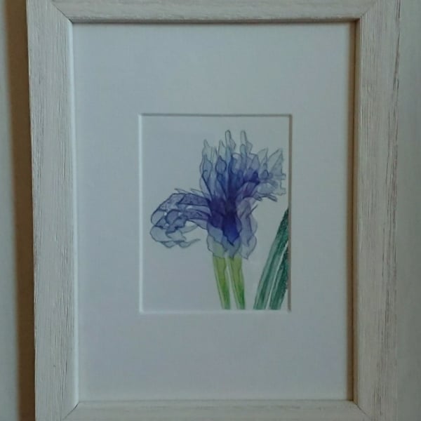 Blue Iris Flower small handmade picture in white frame