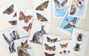 Gift tags