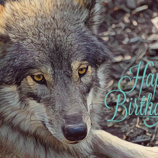 Wolf Happy Birthday Card A5