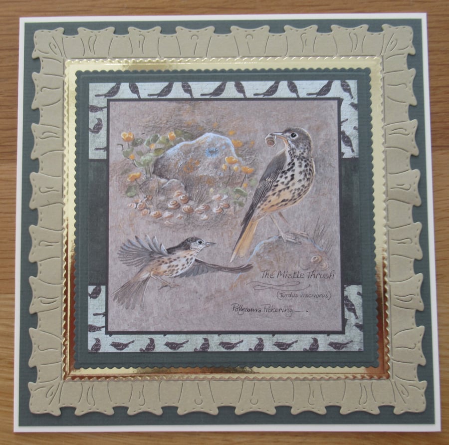 The Mistle Thrush - 7x7" Any Occasion Card