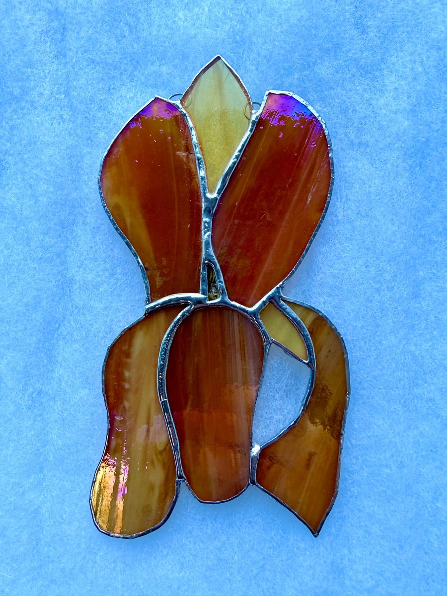Stained glass iris - deep golden petals