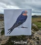 Dartmoor Summer Bird Card - Pack of 4 - Image 2