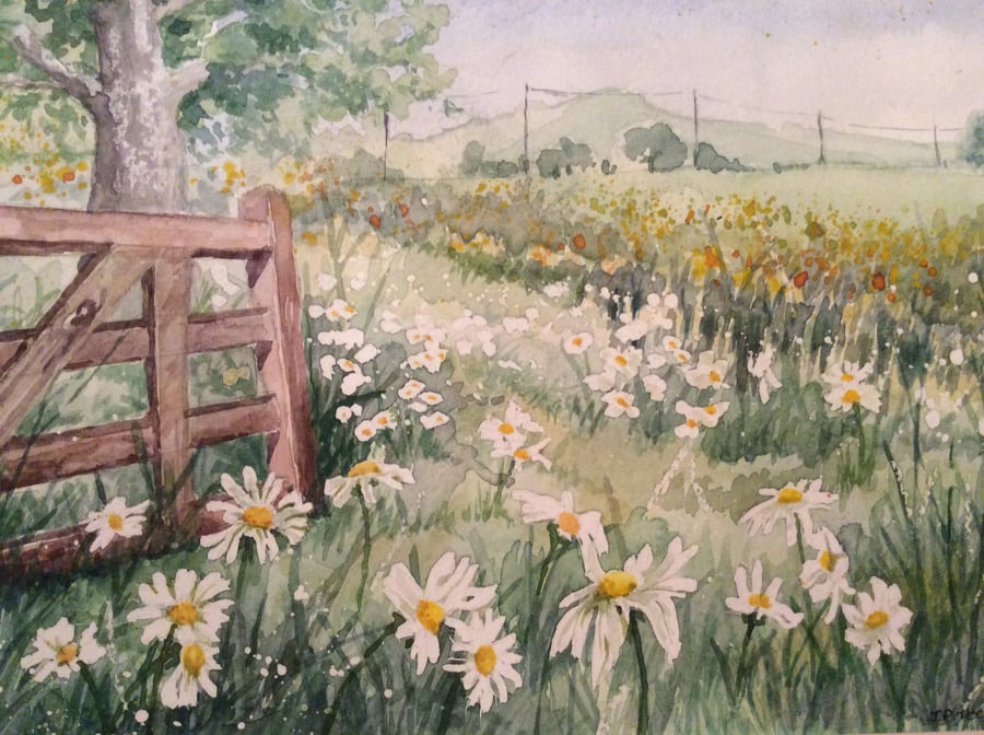 Original watercolour painting of meadow of daisies 