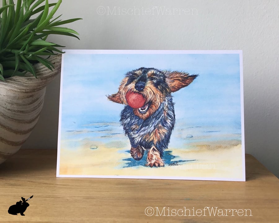Wiry Dachshund Art Card - Blank for any occasion 