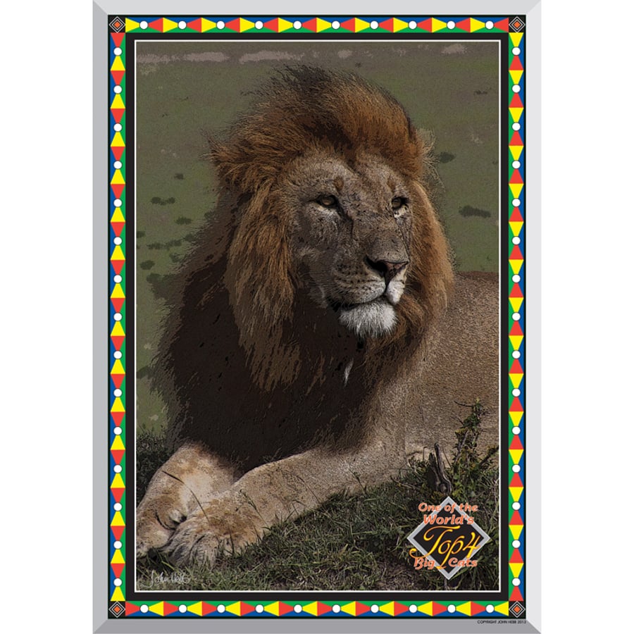 1 - LION -  TOP 4 BIG CATS A3 POSTER