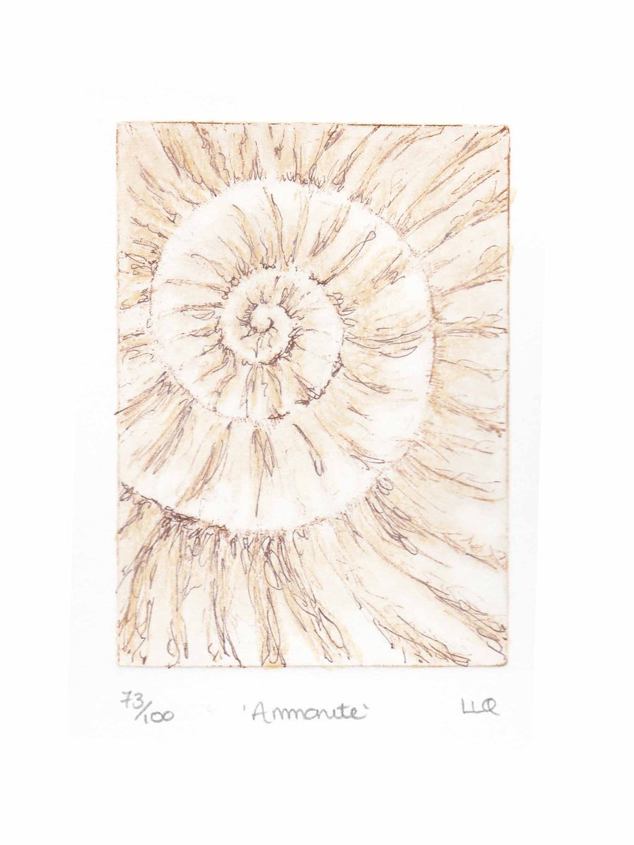 Etching no.73 of an ammonite fossil with mixed media in an edition of 100
