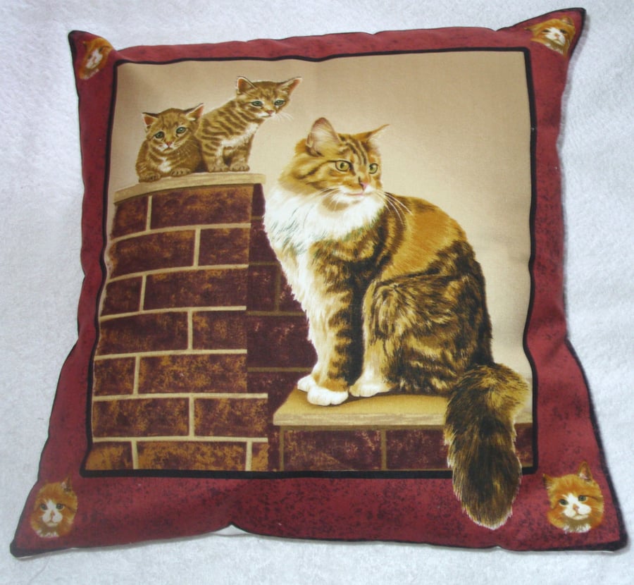 Lovely fluffy brown and white cat and kittens on a garden wall cushion
