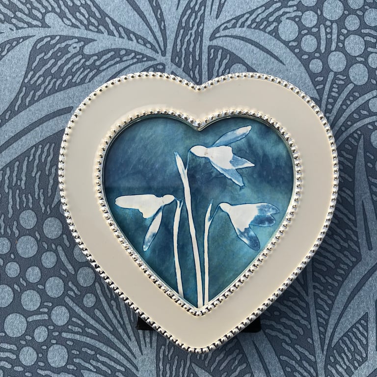 Framed Snowdrop Botanical Art. Beautiful Birthday Gift.