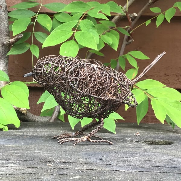 Robin Copper Wire 