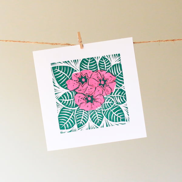 'pink primrose' greetings card
