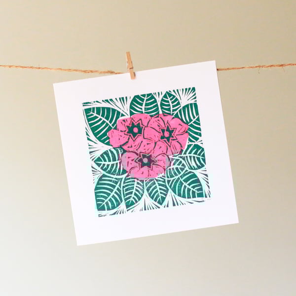 'pink primrose' greetings card