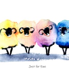 'Just Four Ewe ' Sheep  Print card