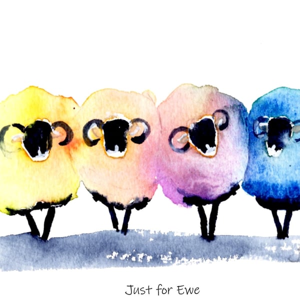 'Just Four Ewe ' Sheep  Print card