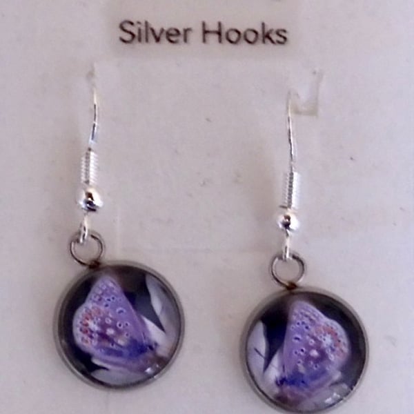 Butterfly (Adonis Blue) Earrings 