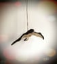 Storybook Raven - MADE TO ORDER - Image 6