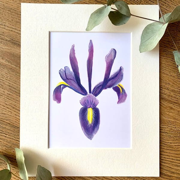 ORIGINAL Iris flower illustration 