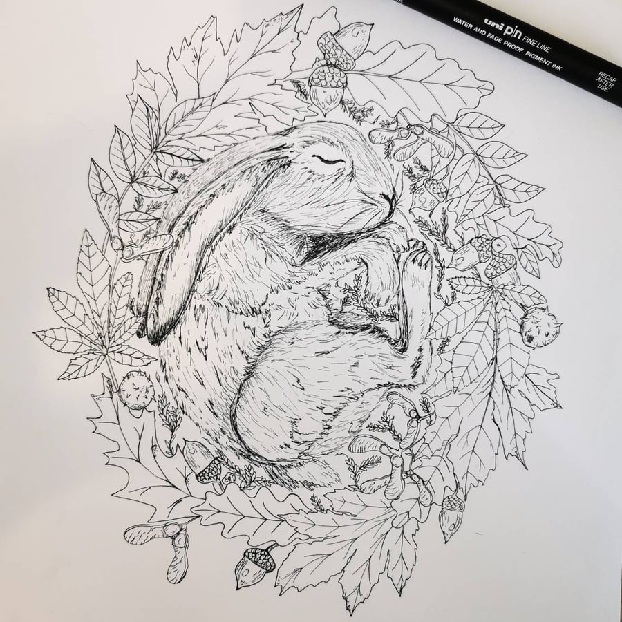 Hare Ink illustration rabbit drawing autumn wildlife art original ink art animal