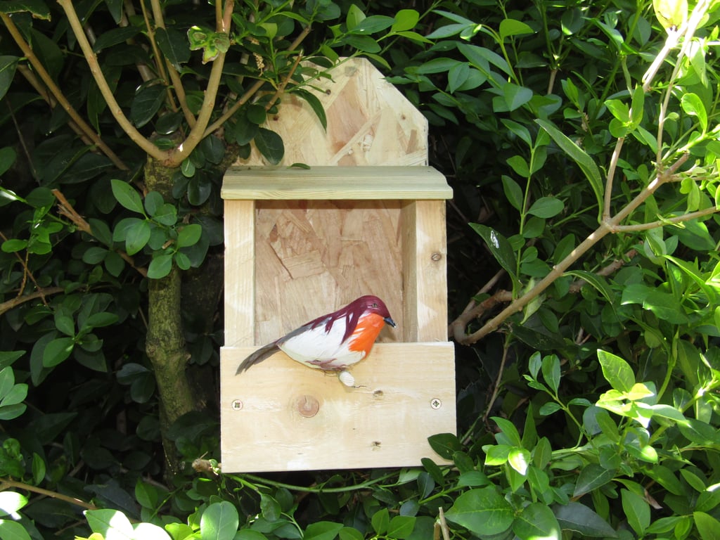 Wooden Robin Nest Box - Shelf Rustic Wild Bird Garden Outdoor House Shelter