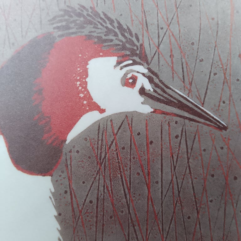 Coasters  great crested Grebe