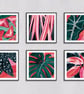 Stromanthe triostar Stromanthe sanguinea Botanical Square Art Print - Image 4