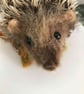 Hedgehog needle felted animal  - Image 6