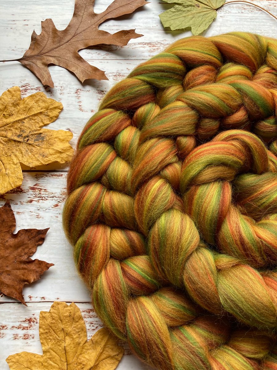 Merino blend spinning fibre 100g Wild Wood