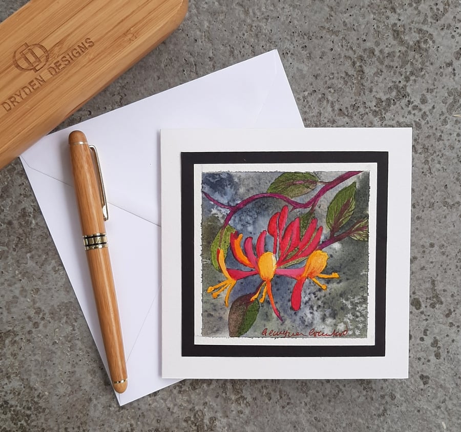 Floral Handpainted Blank Card Of Wild Honeysuckle. Wildflowers 