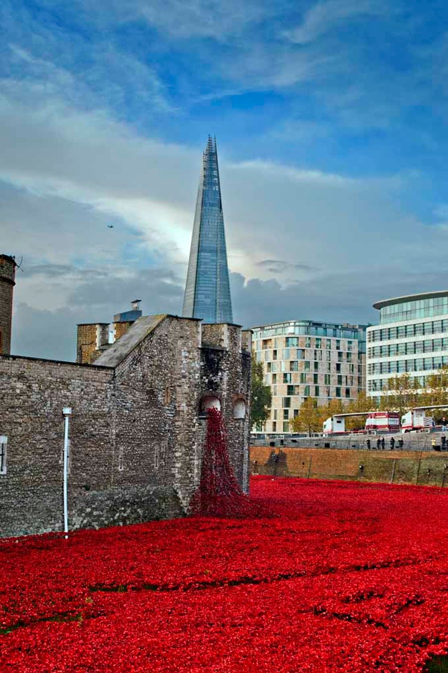 Tower Of London Poppies Red Poppy Photograph Print