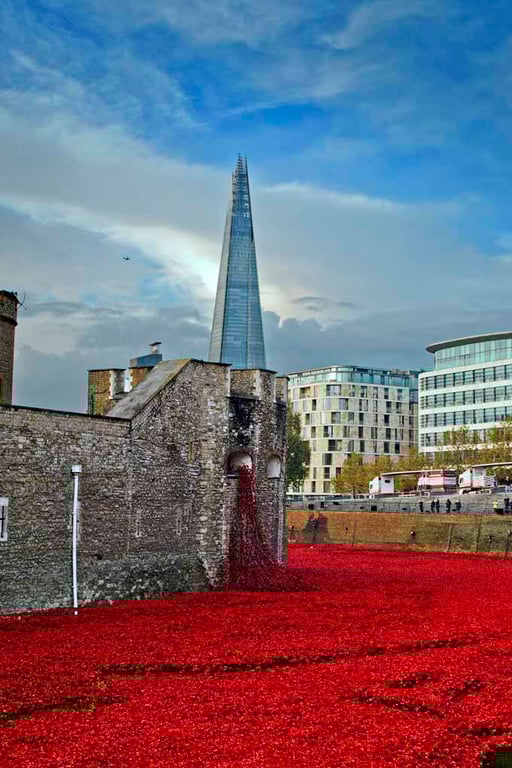 Tower Of London Poppies Red Poppy Photograph Print