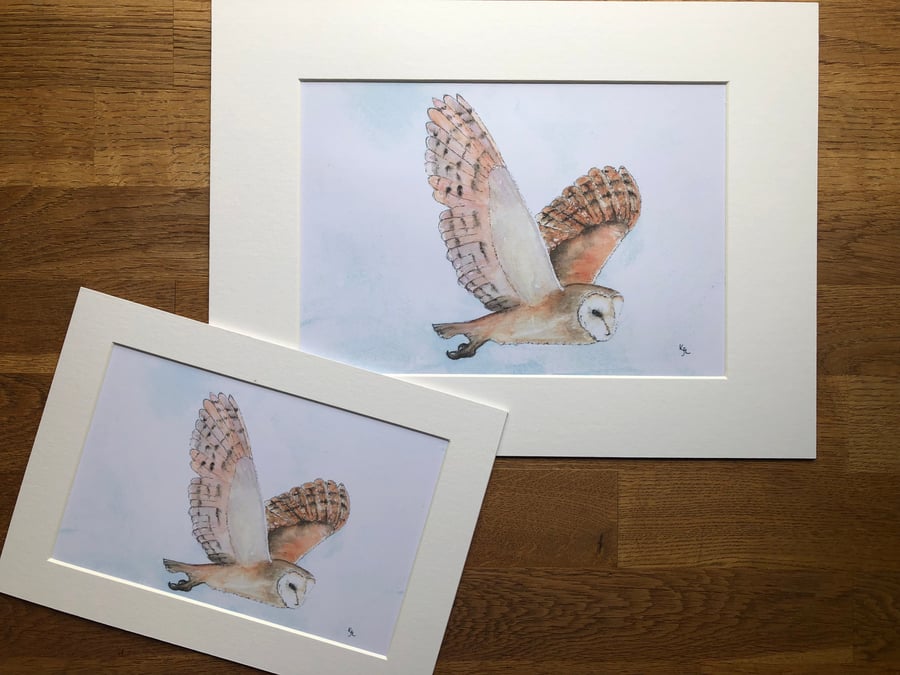 A4 or A3 mounted print of Bodrifty Barn  Owl from my original watercolour 