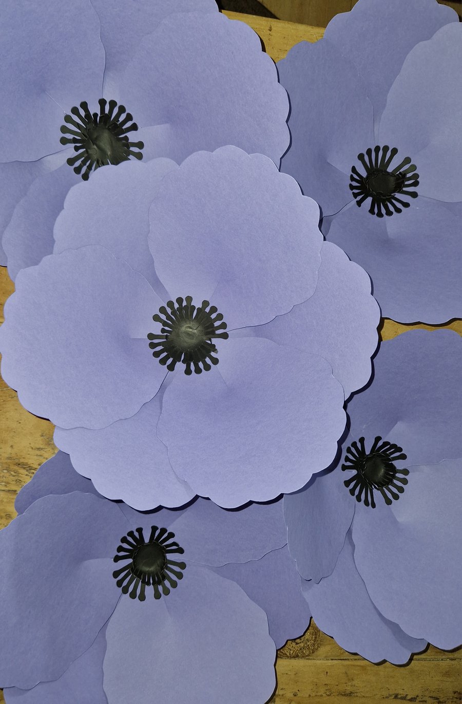 Purple window poppy 15"