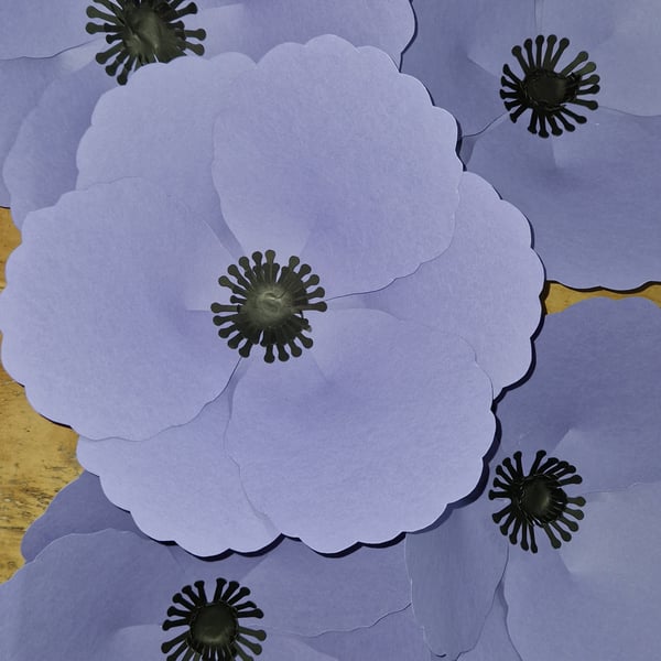 Purple window poppy 15"