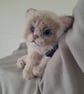 Ragdoll Kitten, dotpebblesknits Design - Image 4