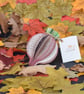 Personalised Beetroot Book Gift - Image 5