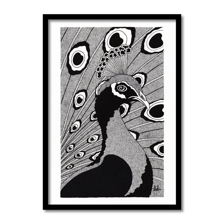 Peacock Original Art Pen And Ink Drawing