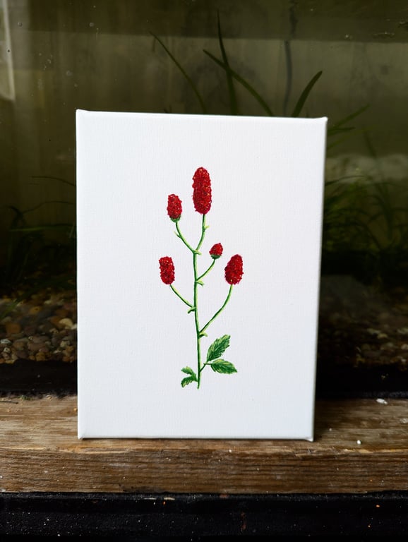 Great Burnet Acrylic Painting 