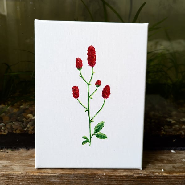 Great Burnet Acrylic Painting 