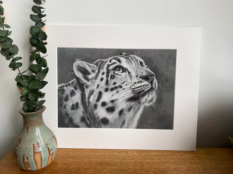 Snow Leopard Art Print