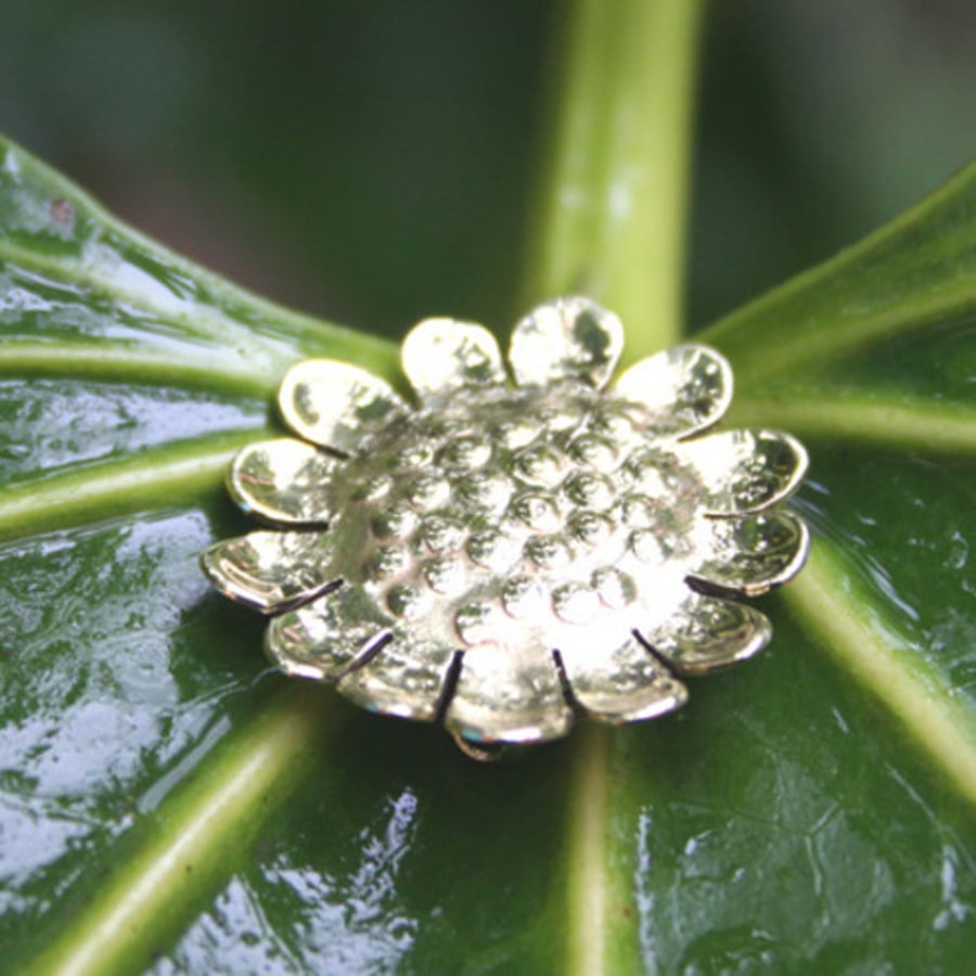 small daisy brooch