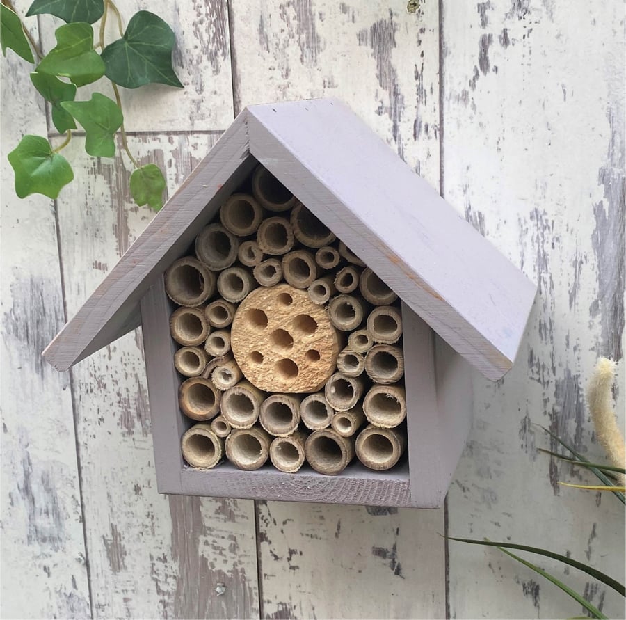 Bee and Insect Hotel, Single Tier, in 'Forest Mushroom'.