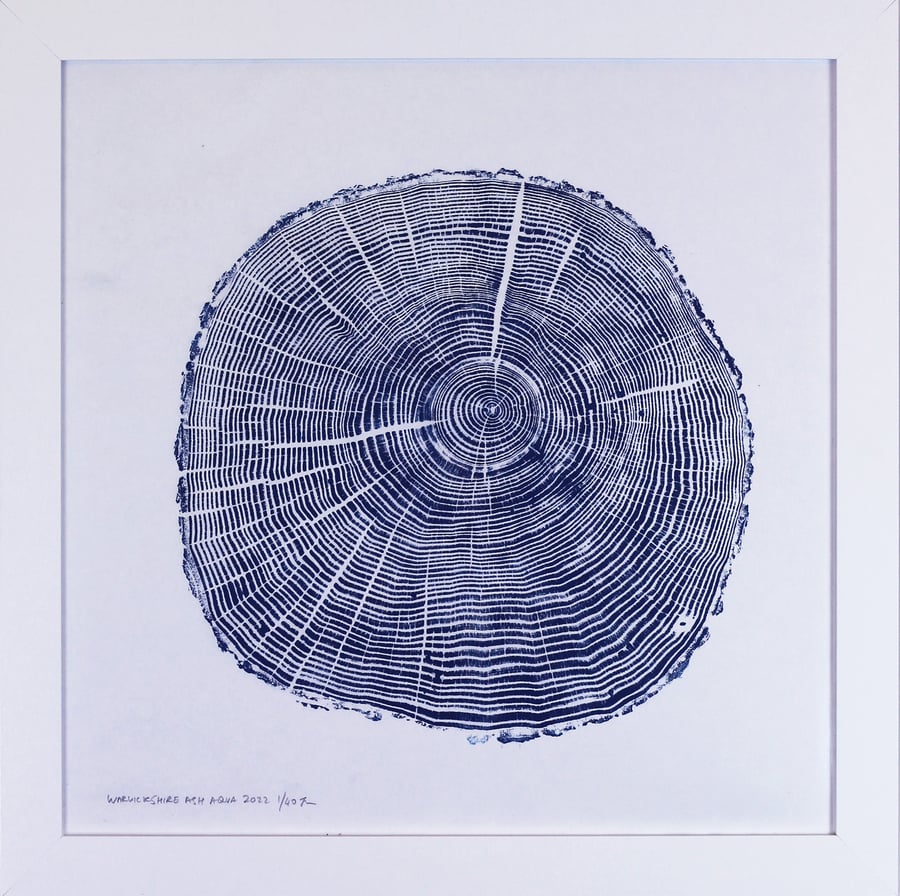 Warwickshire Ash Tree Ring Art Print 50cm diameter in BLUE