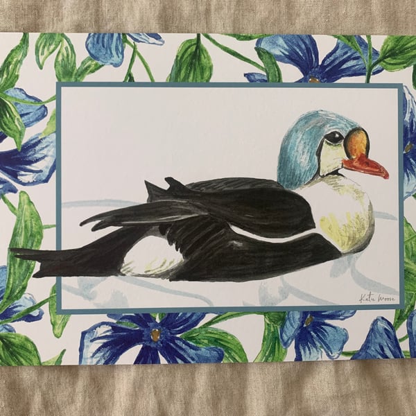 King Eider, Periwinkle Border A4 Eco-Friendly Art Print (landscape)