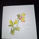 Original Handpainted Greetings Card- Birdsfoot Trefoil