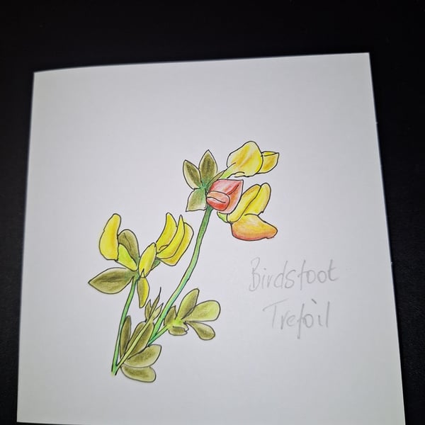Original Handpainted Greetings Card- Birdsfoot Trefoil