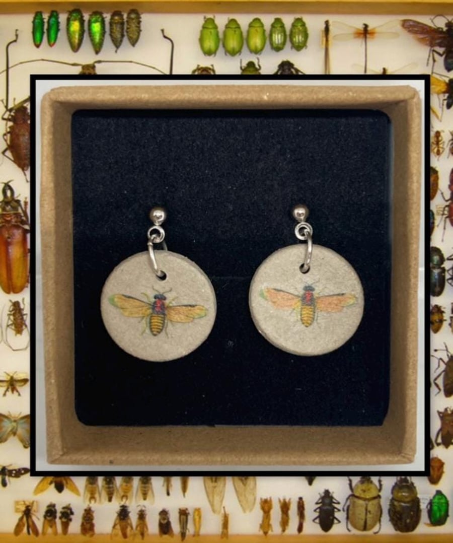 Bug stud clay earrings