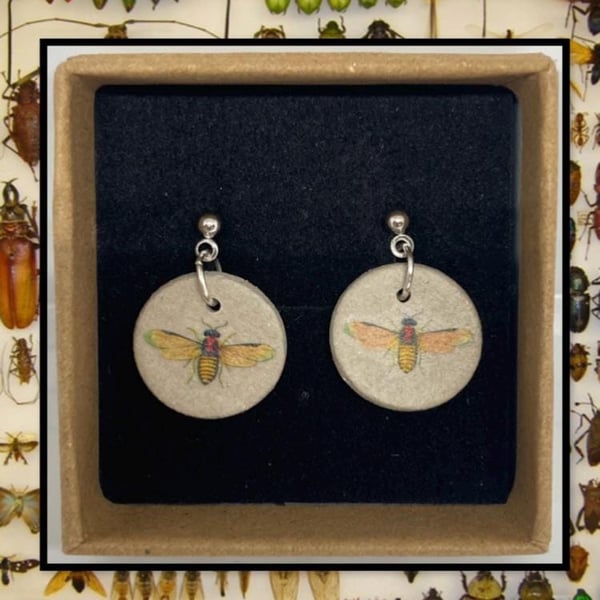 Bug stud clay earrings