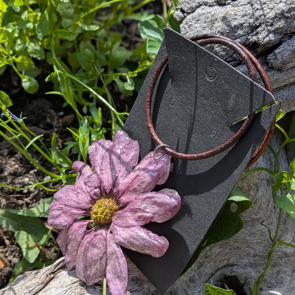 Real Purple Daisy (5cm) Antique leather necklace 
