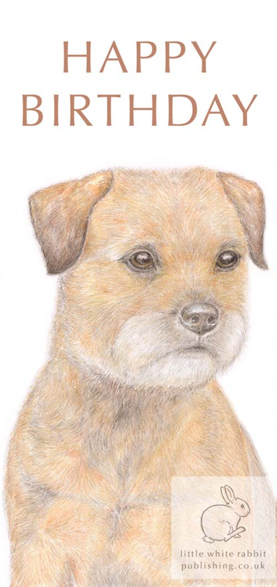 Bertie the Border Terrier - Birthday Card