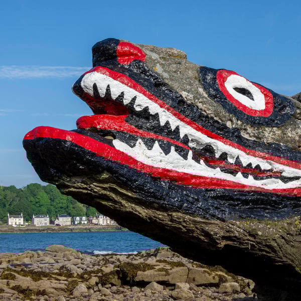 Crocodile rock, Gt Cumbrae print