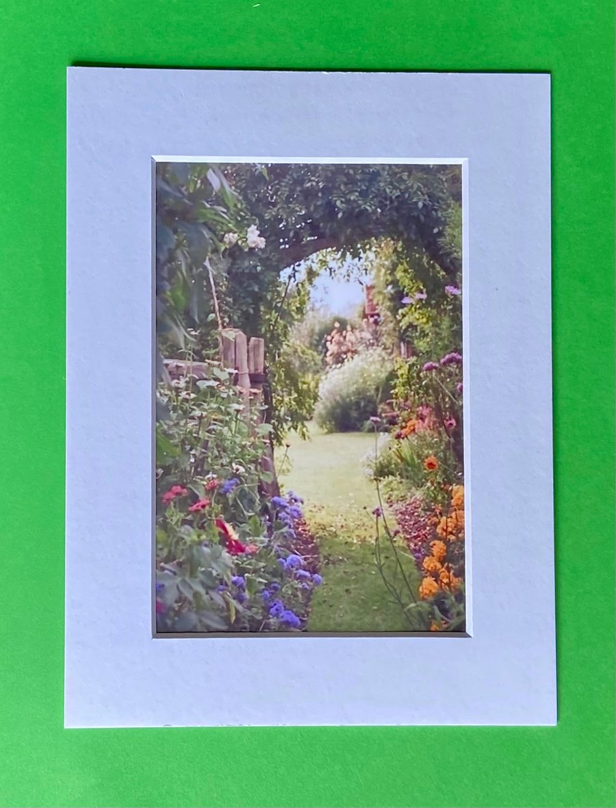 Secret Garden Sandwich Kent - Photograph with White Mount and Backing Board